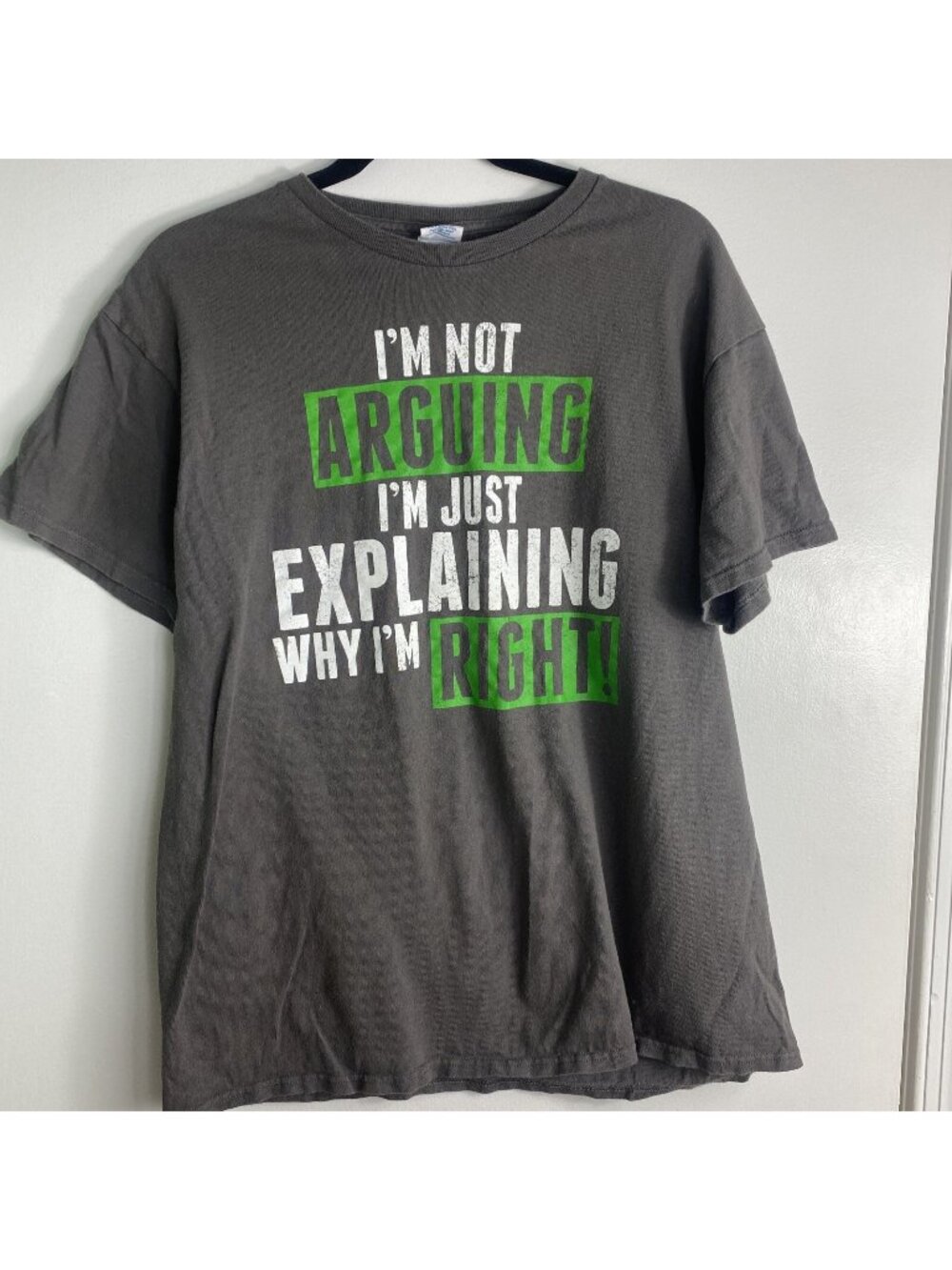 I’m Not Arguing I’m Just Explaining Why I’m Right L Graphic T Shirt Cotton 2000s